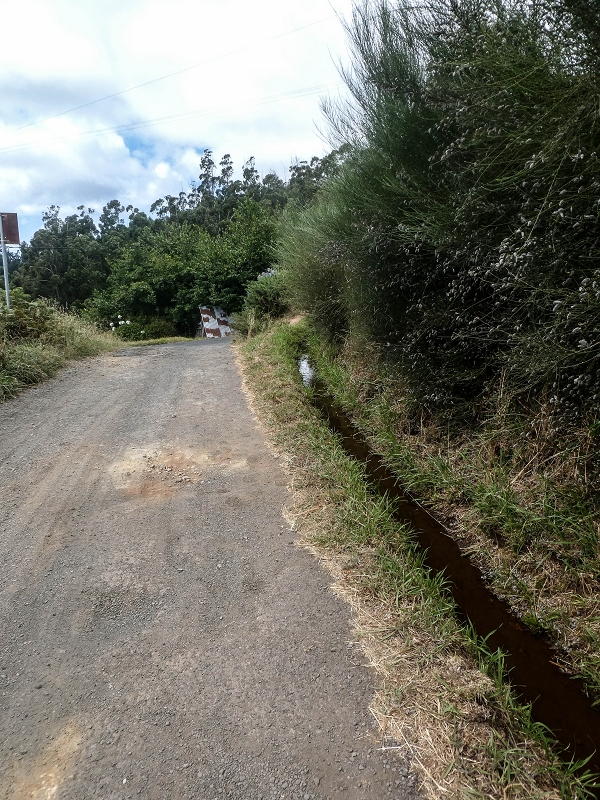 Levada da Serra do Faial von Lamaceiros/Lombo da Raiz zum Pico do Infante — Abschnitt 2 — Foto 16