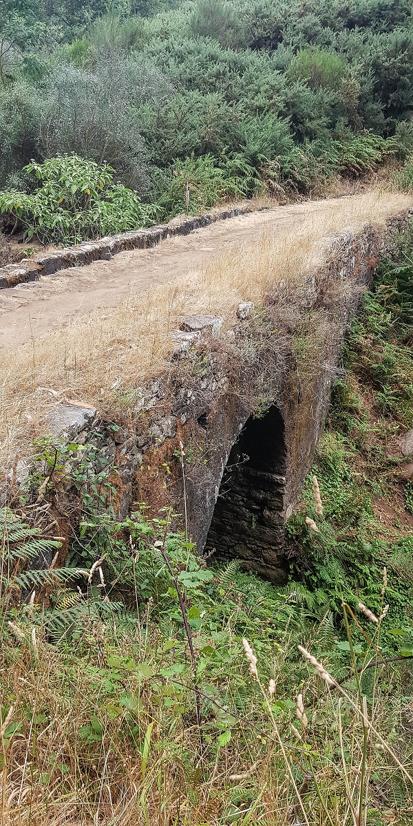Levada da Serra do Faial von Lamaceiros/Lombo da Raiz zum Pico do Infante — Abschnitt 2 — Foto 12