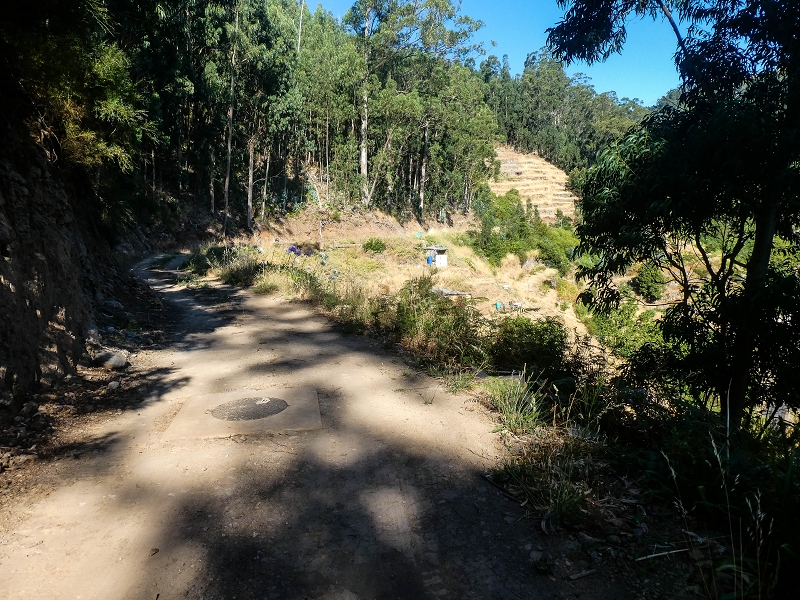02.08.2021 Über 5 Levadas rund um Camacha — Auf der Levada do Pico do Arvoredo bis zur Madre — Foto 6