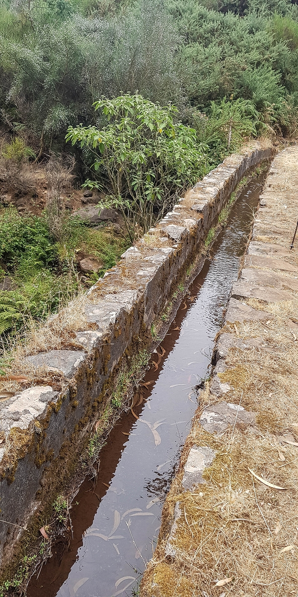 Levada da Serra do Faial von Lamaceiros/Lombo da Raiz zum Pico do Infante — Abschnitt 2 — Foto 11