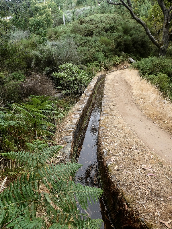 Levada da Serra do Faial von Lamaceiros/Lombo da Raiz zum Pico do Infante — Abschnitt 2 — Foto 10