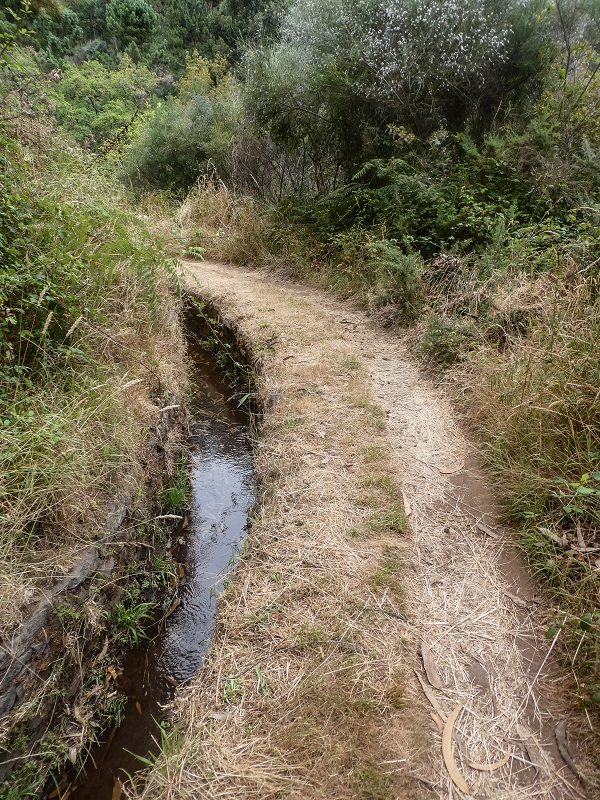 Levada da Serra do Faial von Lamaceiros/Lombo da Raiz zum Pico do Infante — Abschnitt 2 — Foto 8