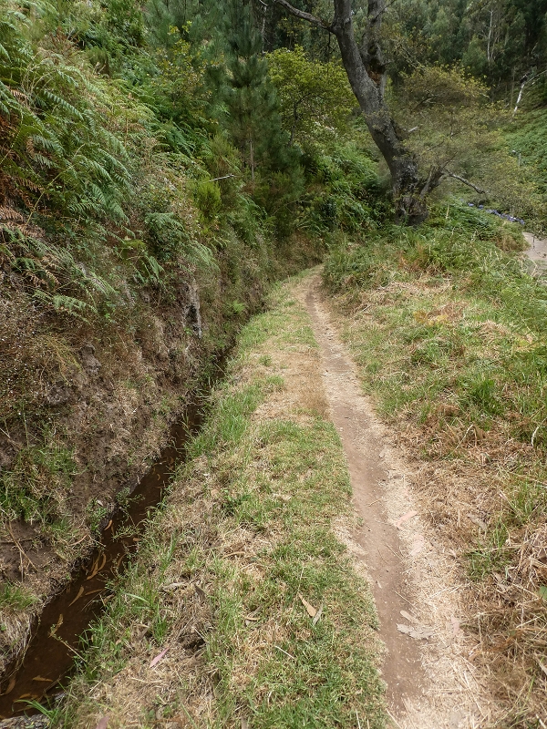 Levada da Serra do Faial von Lamaceiros/Lombo da Raiz zum Pico do Infante — Abschnitt 2 — Foto 7