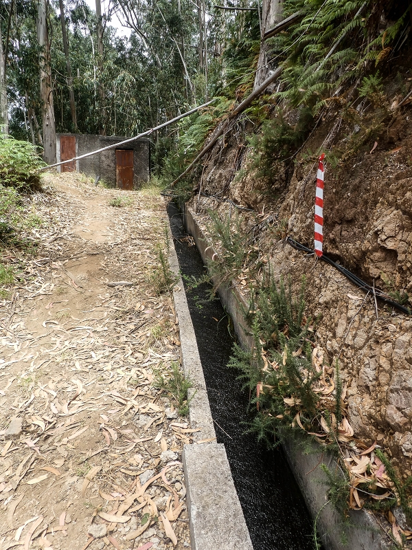 Levada da Serra do Faial von Lamaceiros/Lombo da Raiz zum Pico do Infante — Abschnitt 2 — Foto 3