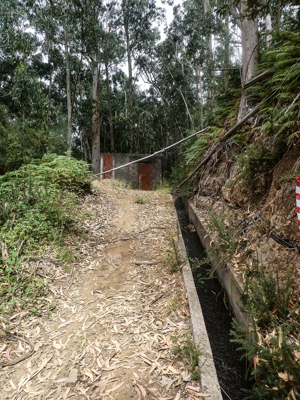 Levada da Serra do Faial von Lamaceiros/Lombo da Raiz zum Pico do Infante — Abschnitt 2 — Foto 2