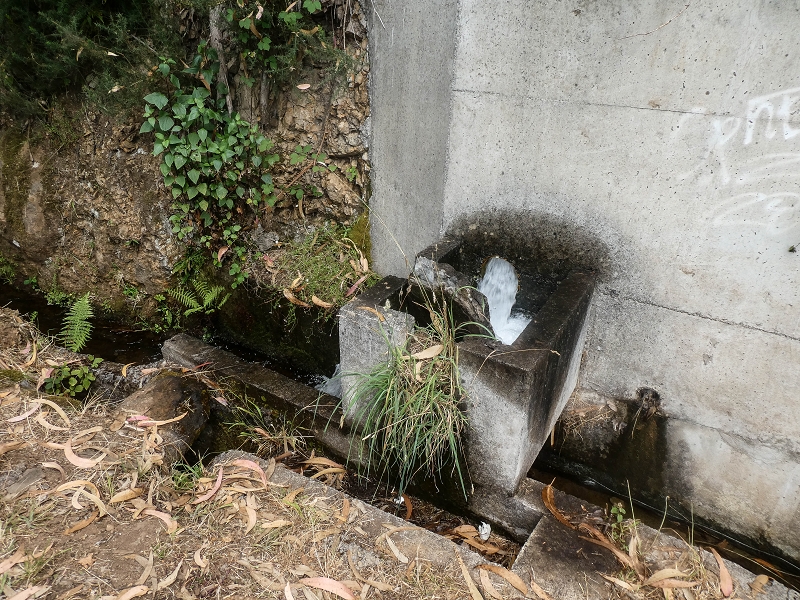 Levada da Serra do Faial von Lamaceiros/Lombo da Raiz zum Pico do Infante — Abschnitt 2 — Foto 1