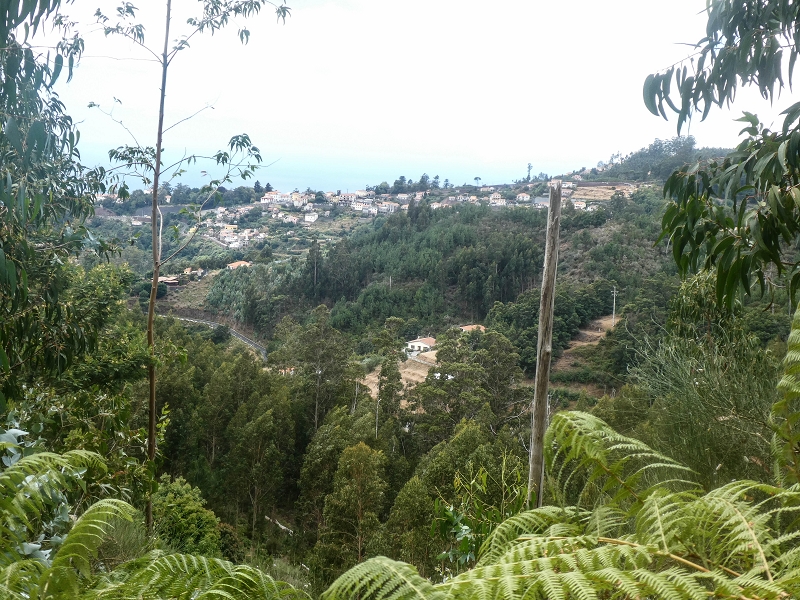02.08.2021 Über 5 Levadas rund um Camacha — Auf der Strasse und auf der Levada da Serra do Faial — Foto 17