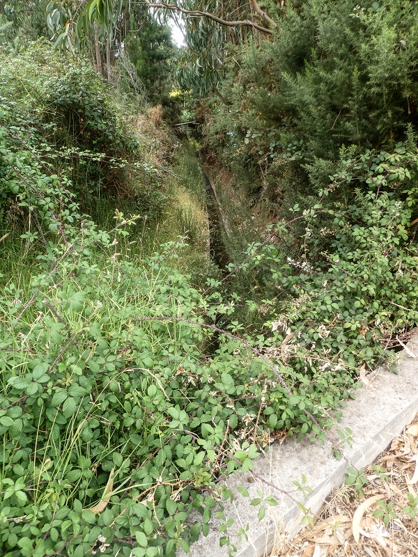 02.08.2021 Über 5 Levadas rund um Camacha — Auf der Levada do Pico das Eiroses — Foto 16