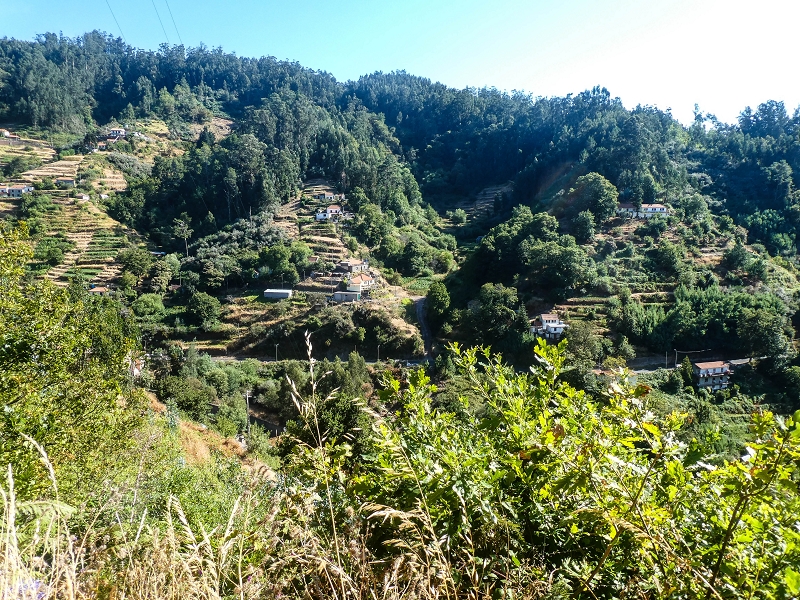02.08.2021 Über 5 Levadas rund um Camacha — Auf der Levada do Pico do Arvoredo bis zur Madre — Foto 9
