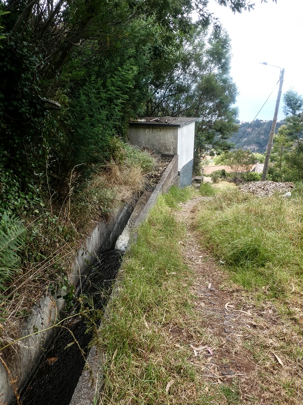 02.08.2021 Über 5 Levadas rund um Camacha — Auf der Levada do Pico das Eiroses — Foto 21