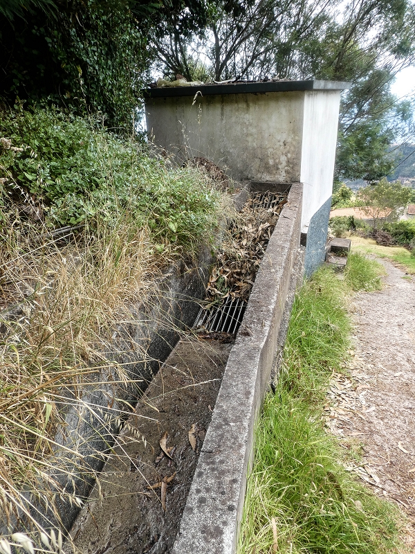02.08.2021 Über 5 Levadas rund um Camacha — Auf der Levada do Pico das Eiroses — Foto 22