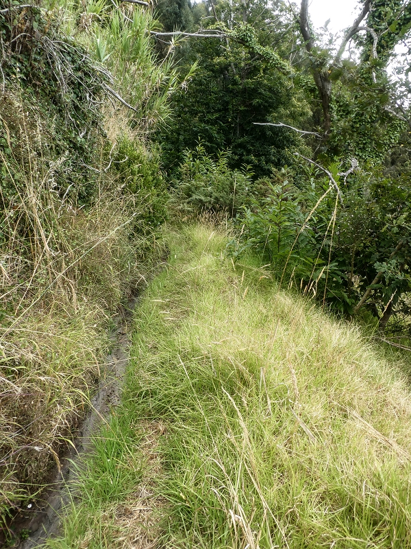 02.08.2021 Über 5 Levadas rund um Camacha — Auf der Levada do Pico das Eiroses — Foto 25