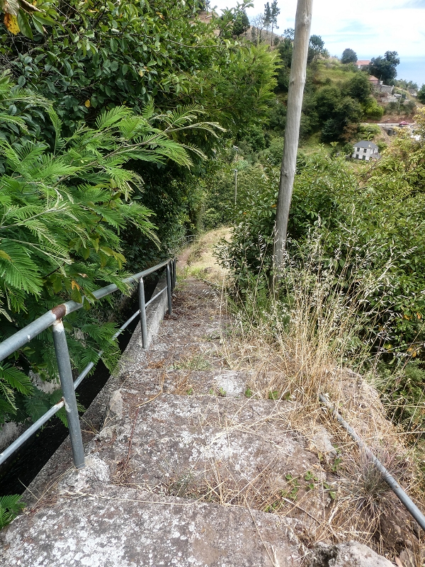 02.08.2021 Über 5 Levadas rund um Camacha — Auf der Levada do Pico das Eiroses — Foto 26