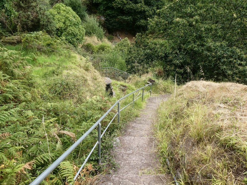 02.08.2021 Über 5 Levadas rund um Camacha — Auf der Levada do Pico das Eiroses — Foto 27