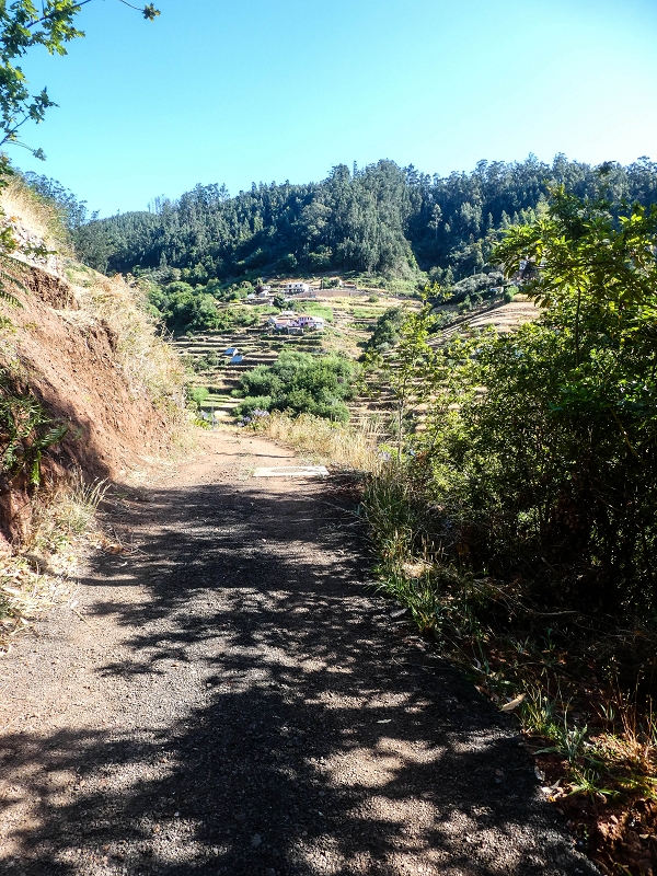 Levada do Pico do Arvoredo — Neuer verrohrter Levadaverlauf unter Schotterpiste (2021) — Foto 2