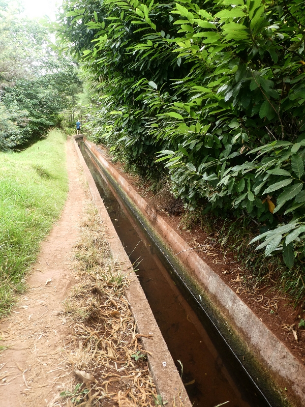 02.08.2021 Über 5 Levadas rund um Camacha — Auf der Levada dos Tornos — Foto 1