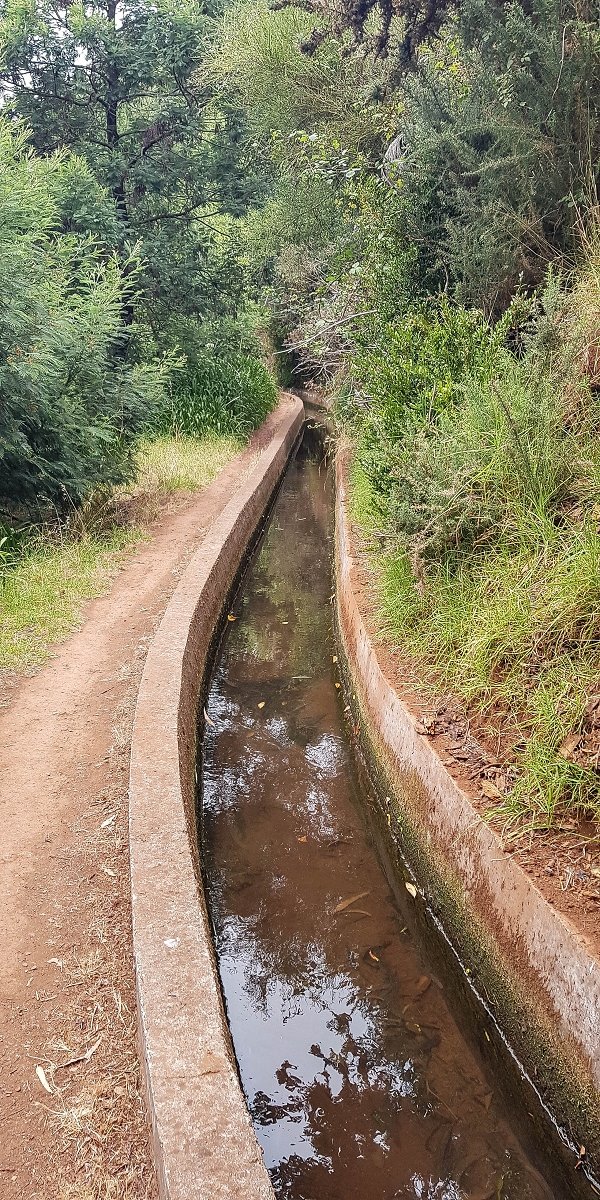 02.08.2021 Über 5 Levadas rund um Camacha — Auf der Levada dos Tornos — Foto 2