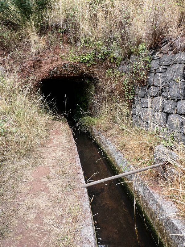02.08.2021 Über 5 Levadas rund um Camacha — Auf der Levada dos Tornos — Foto 3