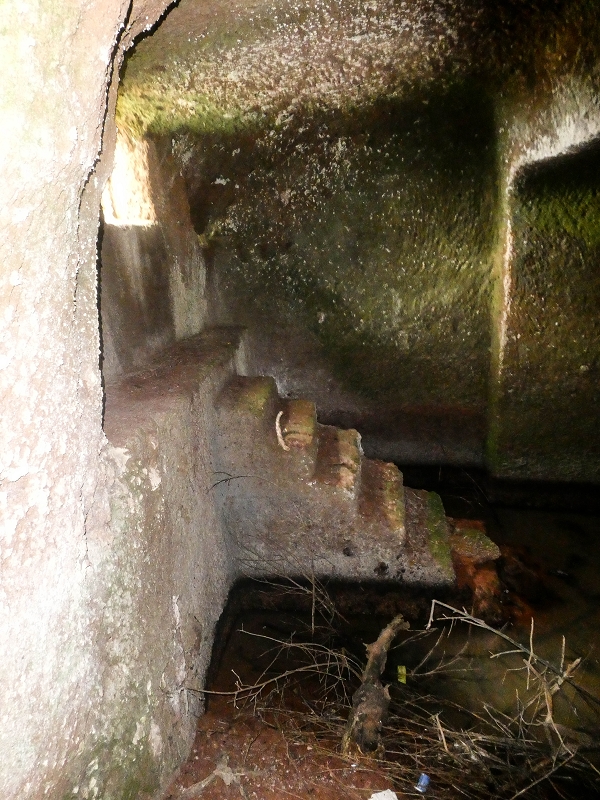 02.08.2021 Über 5 Levadas rund um Camacha — Auf der Levada dos Tornos — Foto 5