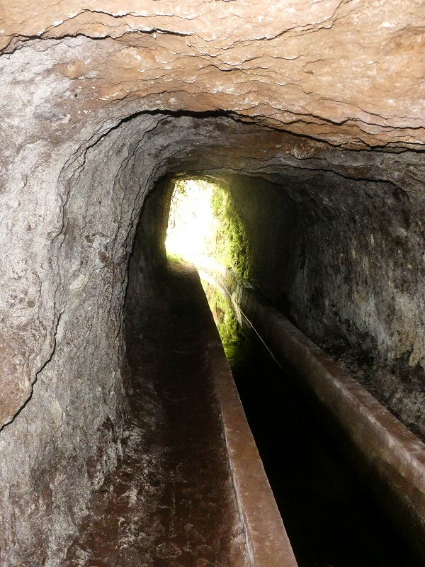 02.08.2021 Über 5 Levadas rund um Camacha — Auf der Levada dos Tornos — Foto 7