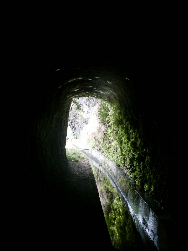 02.08.2021 Über 5 Levadas rund um Camacha — Auf der Levada dos Tornos — Foto 8