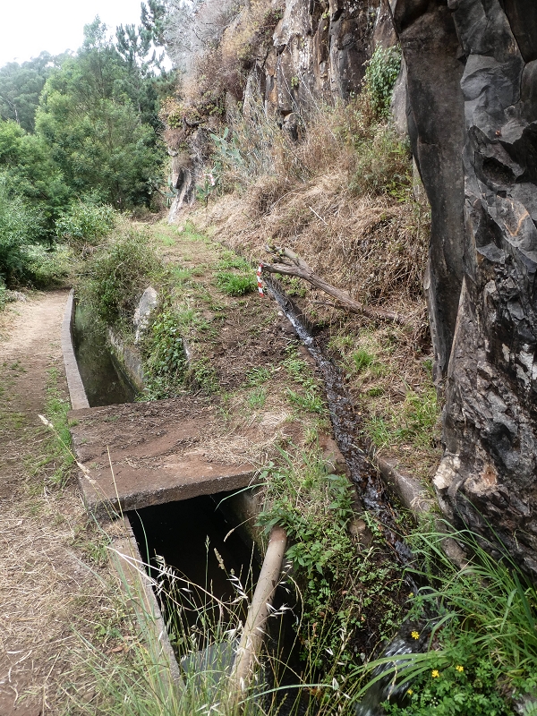 02.08.2021 Über 5 Levadas rund um Camacha — Auf der Levada dos Tornos — Foto 9