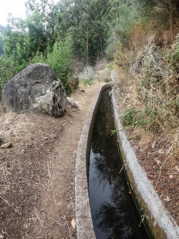 02.08.2021 Über 5 Levadas rund um Camacha — Auf der Levada dos Tornos — Foto 10