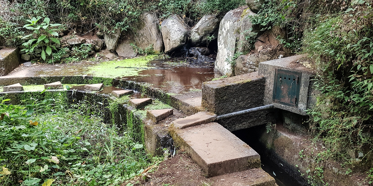 02.08.2021 Über 5 Levadas rund um Camacha — Auf der Levada dos Tornos — Foto 12