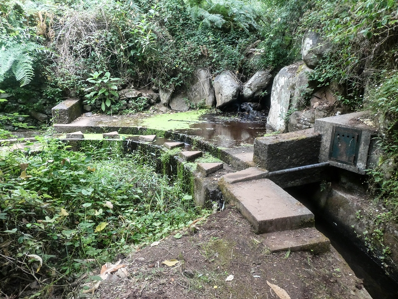 02.08.2021 Über 5 Levadas rund um Camacha — Auf der Levada dos Tornos — Foto 13