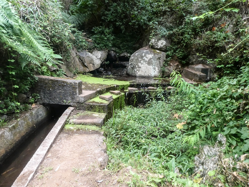 02.08.2021 Über 5 Levadas rund um Camacha — Auf der Levada dos Tornos — Foto 14