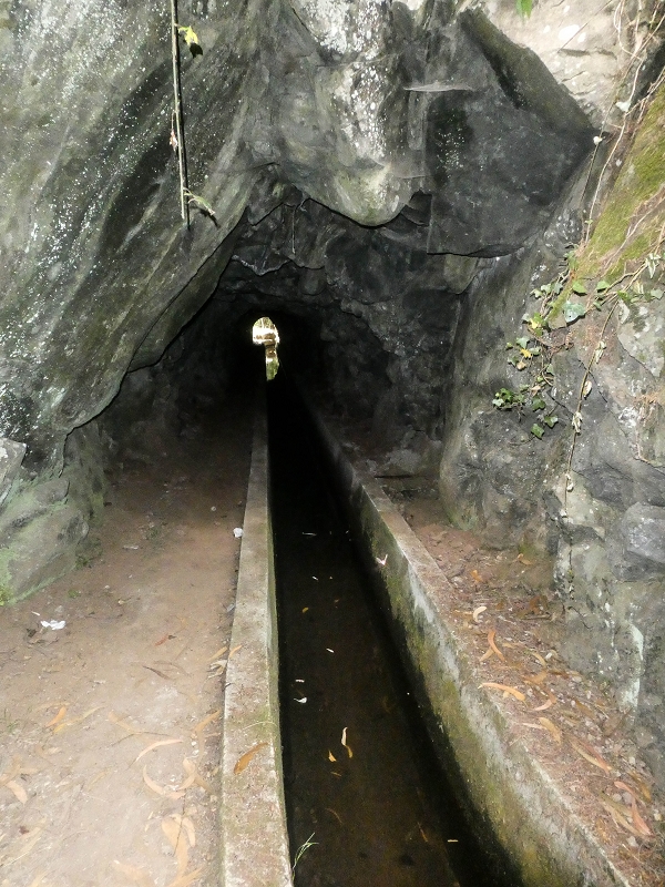 02.08.2021 Über 5 Levadas rund um Camacha — Auf der Levada dos Tornos — Foto 15