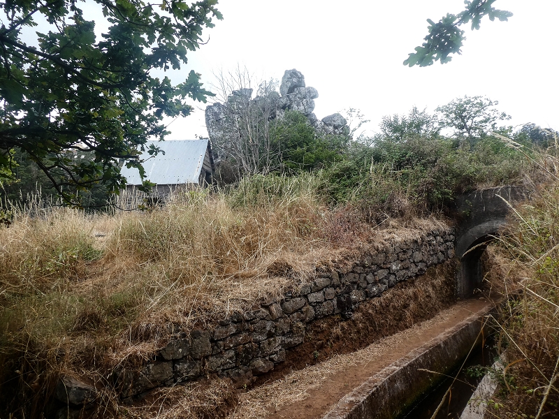 02.08.2021 Über 5 Levadas rund um Camacha — Auf der Levada dos Tornos — Foto 16