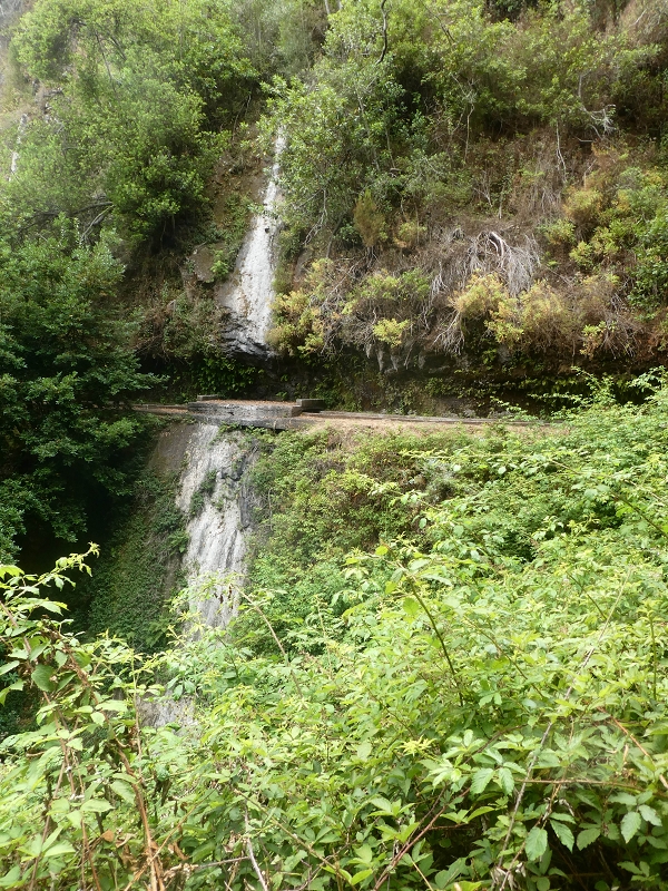 02.08.2021 Über 5 Levadas rund um Camacha — Auf der Levada dos Tornos — Foto 18