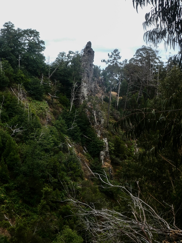 02.08.2021 Über 5 Levadas rund um Camacha — Auf der Levada dos Tornos — Foto 20
