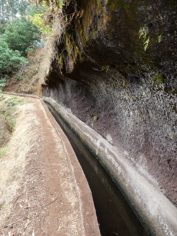 02.08.2021 Über 5 Levadas rund um Camacha — Auf der Levada dos Tornos — Foto 21