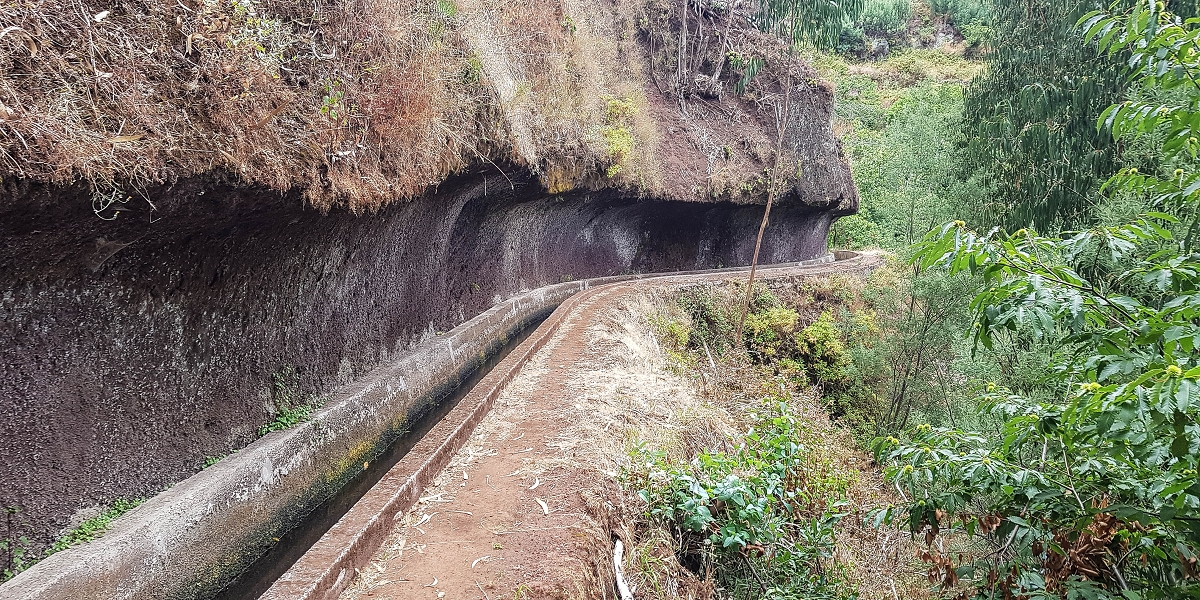 02.08.2021 Über 5 Levadas rund um Camacha — Auf der Levada dos Tornos — Foto 22