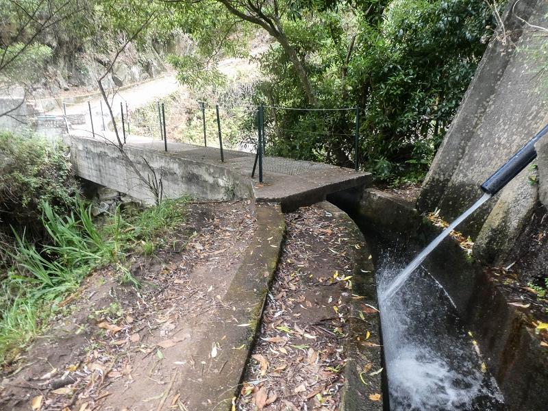 02.08.2021 Über 5 Levadas rund um Camacha — Auf der Levada dos Tornos — Foto 23