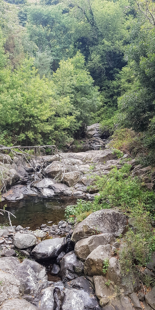 02.08.2021 Über 5 Levadas rund um Camacha — Auf der Levada dos Tornos — Foto 24