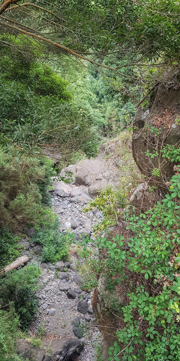 02.08.2021 Über 5 Levadas rund um Camacha — Auf der Levada dos Tornos — Foto 25