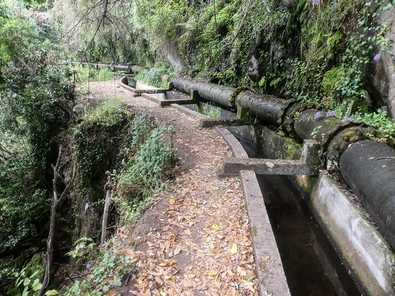 02.08.2021 Über 5 Levadas rund um Camacha — Auf der Levada dos Tornos — Foto 27