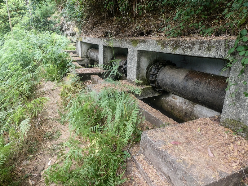 02.08.2021 Über 5 Levadas rund um Camacha — Auf der Levada dos Tornos — Foto 29