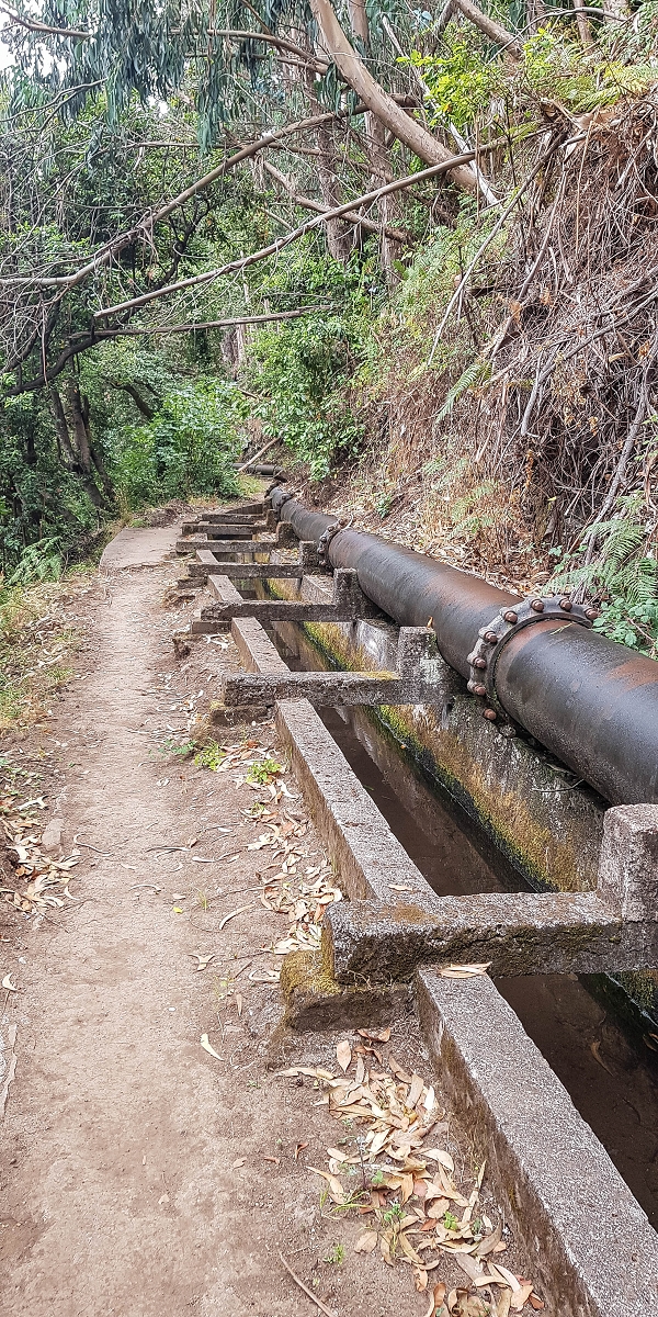 02.08.2021 Über 5 Levadas rund um Camacha — Auf der Levada dos Tornos — Foto 30