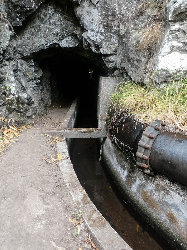 02.08.2021 Über 5 Levadas rund um Camacha — Auf der Levada dos Tornos — Foto 31