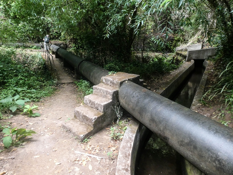 02.08.2021 Über 5 Levadas rund um Camacha — Auf der Levada dos Tornos — Foto 34