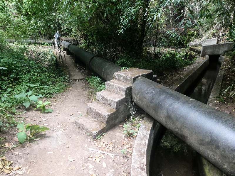 02.08.2021 Über 5 Levadas rund um Camacha — Auf der Levada dos Tornos — Foto 35
