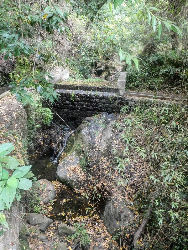 02.08.2021 Über 5 Levadas rund um Camacha — Auf der Levada dos Tornos — Foto 36