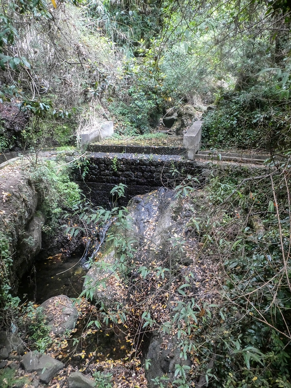02.08.2021 Über 5 Levadas rund um Camacha — Auf der Levada dos Tornos — Foto 37
