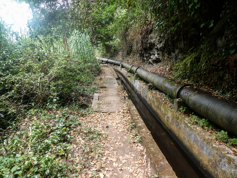 02.08.2021 Über 5 Levadas rund um Camacha — Auf der Levada dos Tornos — Foto 38