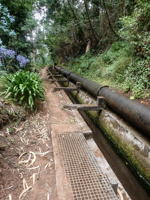02.08.2021 Über 5 Levadas rund um Camacha — Auf der Levada dos Tornos — Foto 41