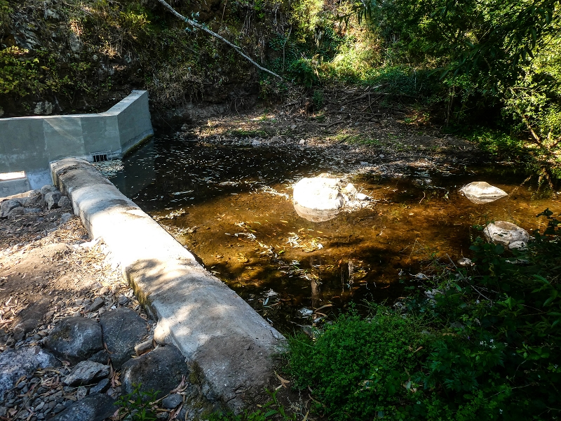 Levada do Pico do Arvoredo — Madre bis zum Beginn des neu zugänglichen Tunnel (Stand 2021) — Foto 1